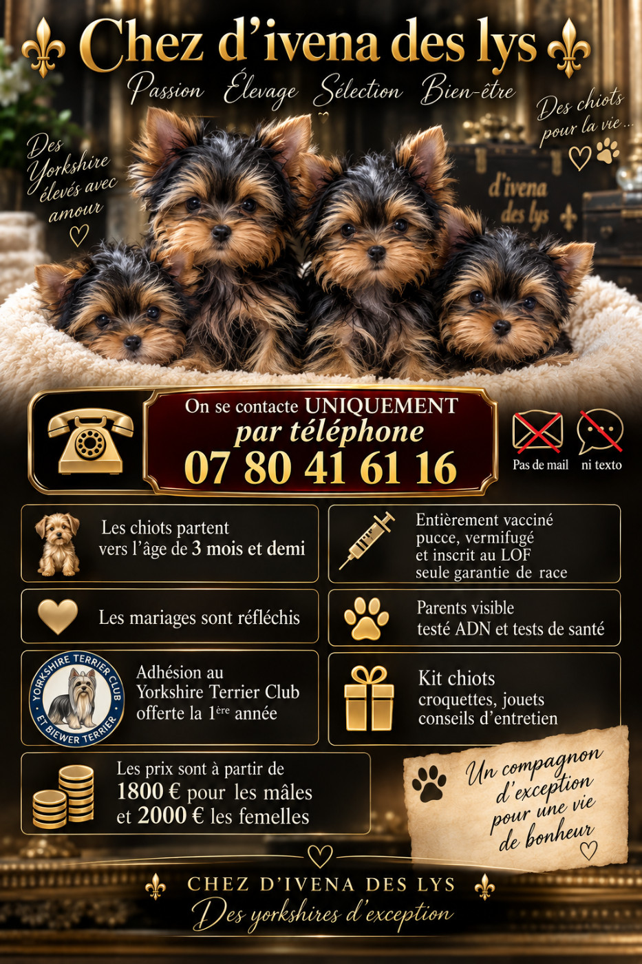 Chiots disponibles